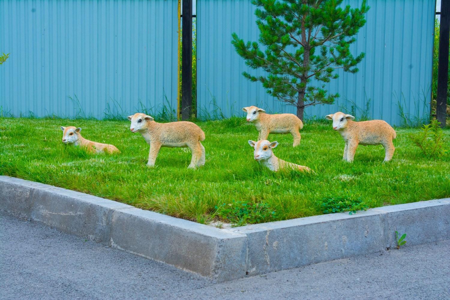 Біздің балабақшамыз