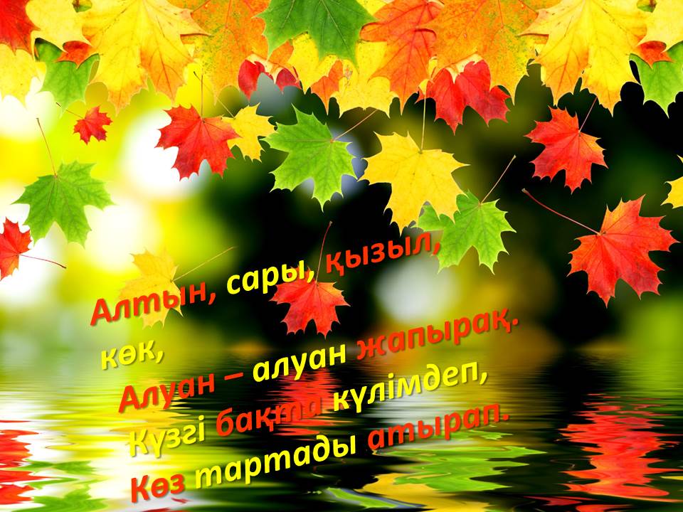 Алтын күз