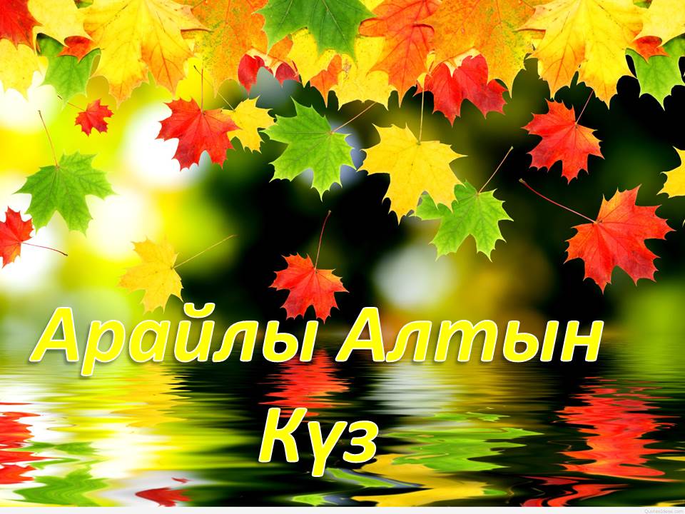 Алтын күз