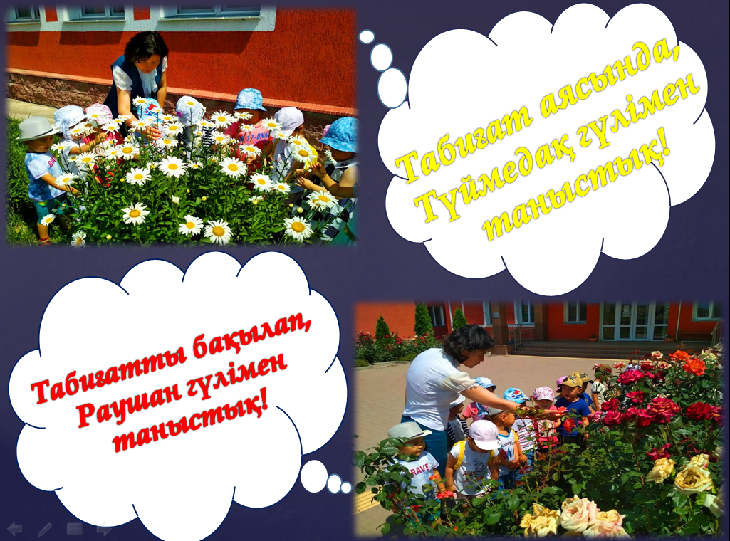 Табиғатты бақылау